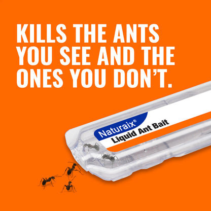 Whole-Home Liquid Ant Bait Stations