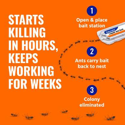 Whole-Home Liquid Ant Bait Stations